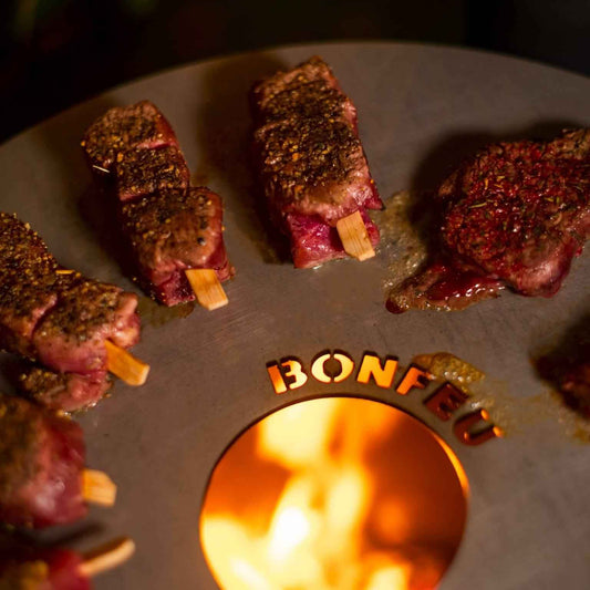 BonFeu Plancha for BonFeu outdoor fireplaces