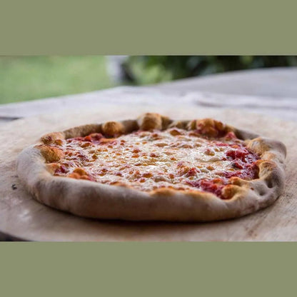 A freshly baked cheese pizza with golden crust in a fontana marinara anthracite dual fuel countertop pizza oven